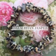 Dalmatian Jasper Crystal Healing Chip Bracelets